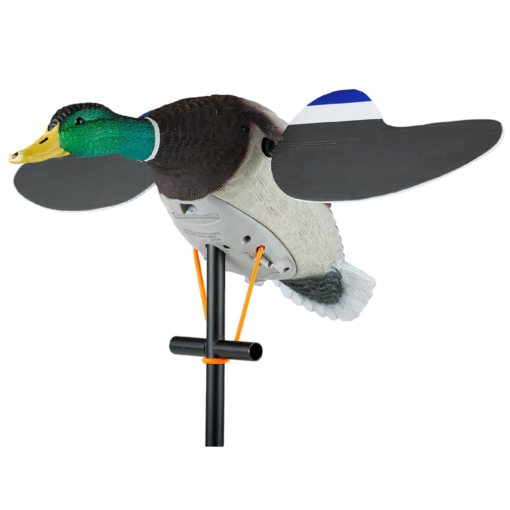 Lucky Duck Lucky Junior II 6V front view showing realistic paint and detail for long-range attraction.