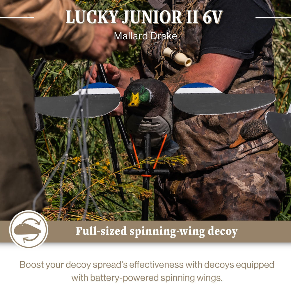Lucky Duck Lucky Junior II 6V wings closeup highlights magnetic spinning wings for extended use.
