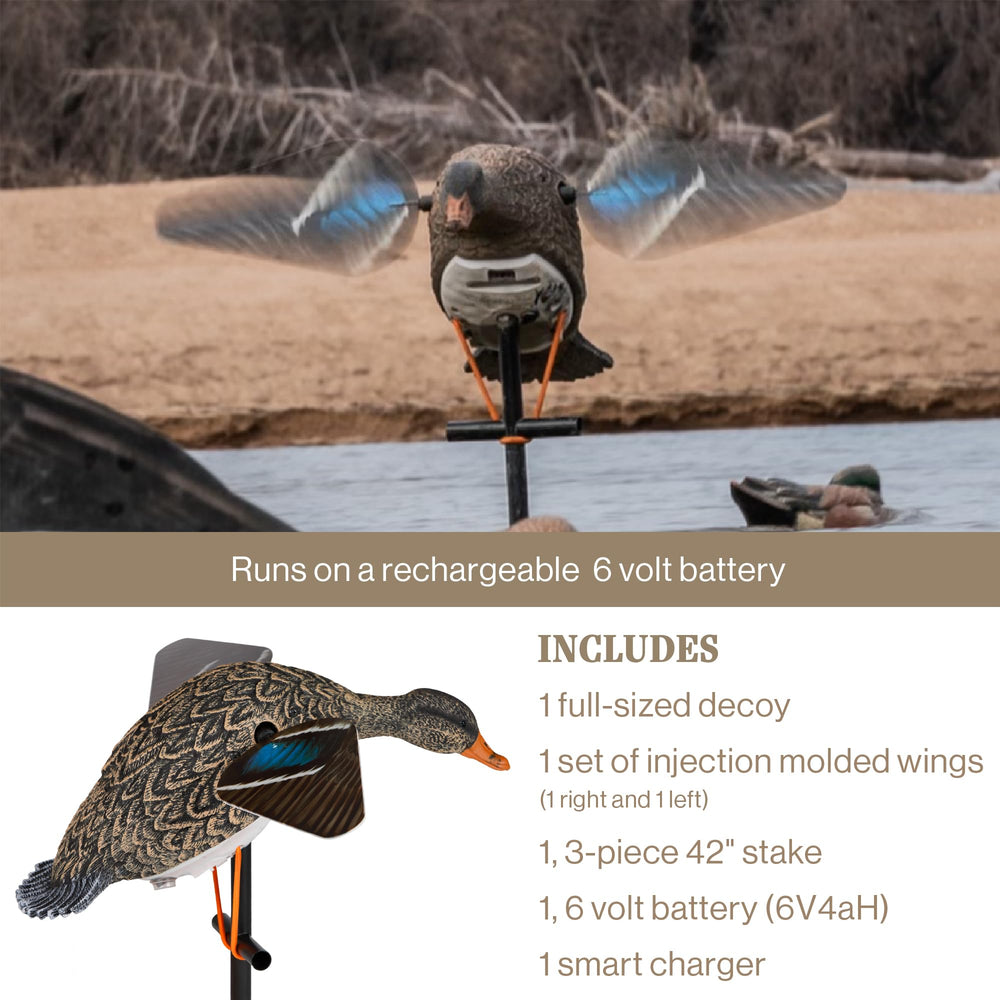 Lucky Duck quick attach bungee for rapid deployment in the blind