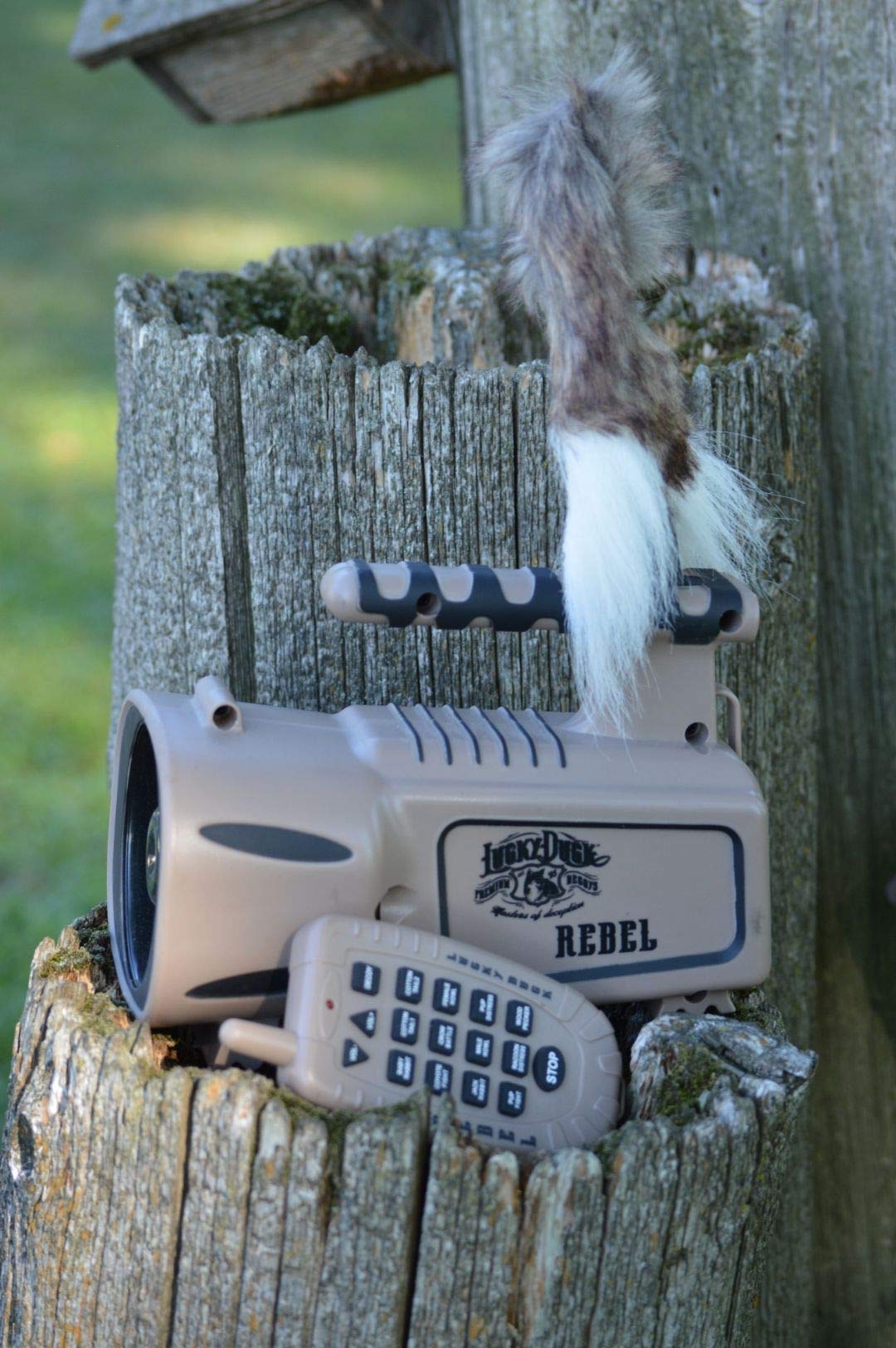 Lucky Duck The Rebel stores remote and decoy inside the caller for quick setup