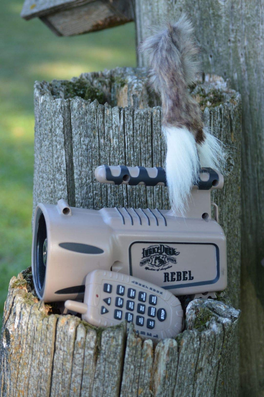 Lucky Duck The Rebel stores remote and decoy inside the caller for quick setup