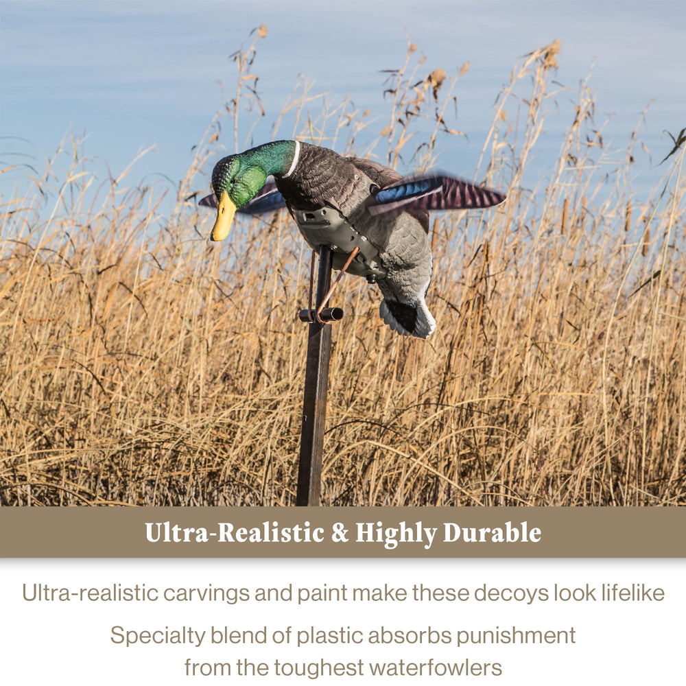 Lucky Duck rechargeable 6-volt battery with smart charger keeps decoys powered.