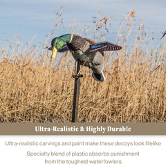 Lucky Duck rechargeable 6-volt battery with smart charger keeps decoys powered.