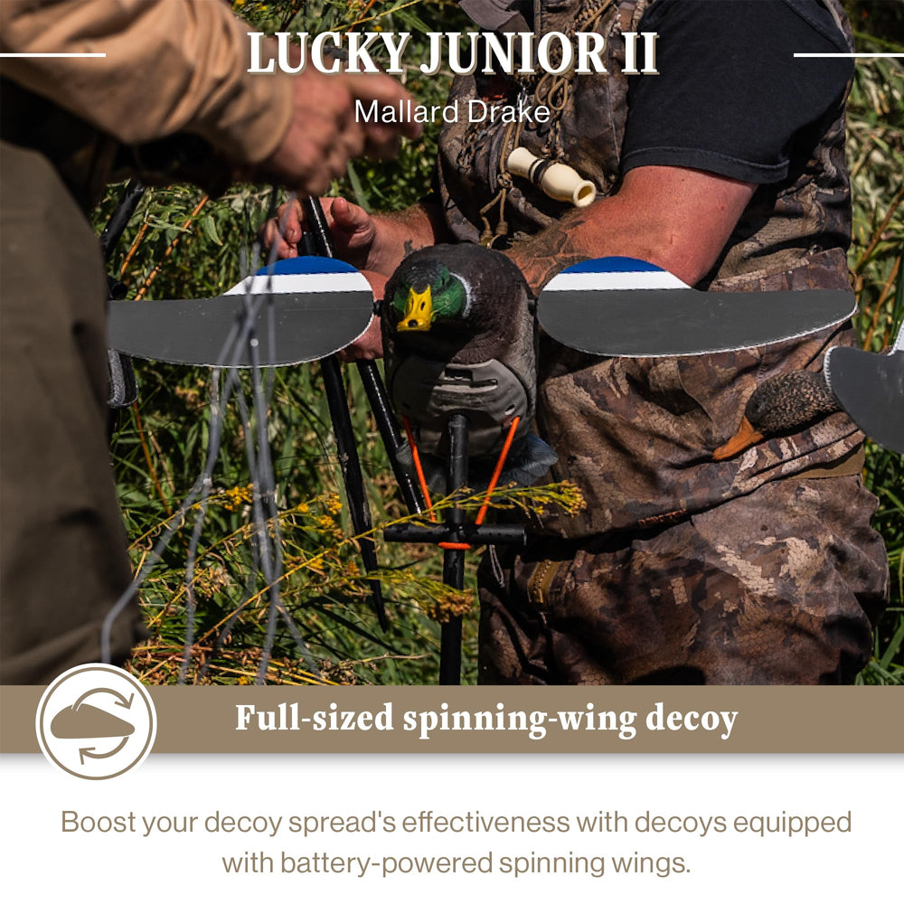 Lucky Duck spinning-wing magnetic-wings close-up shows durable detail for lifelike movement.