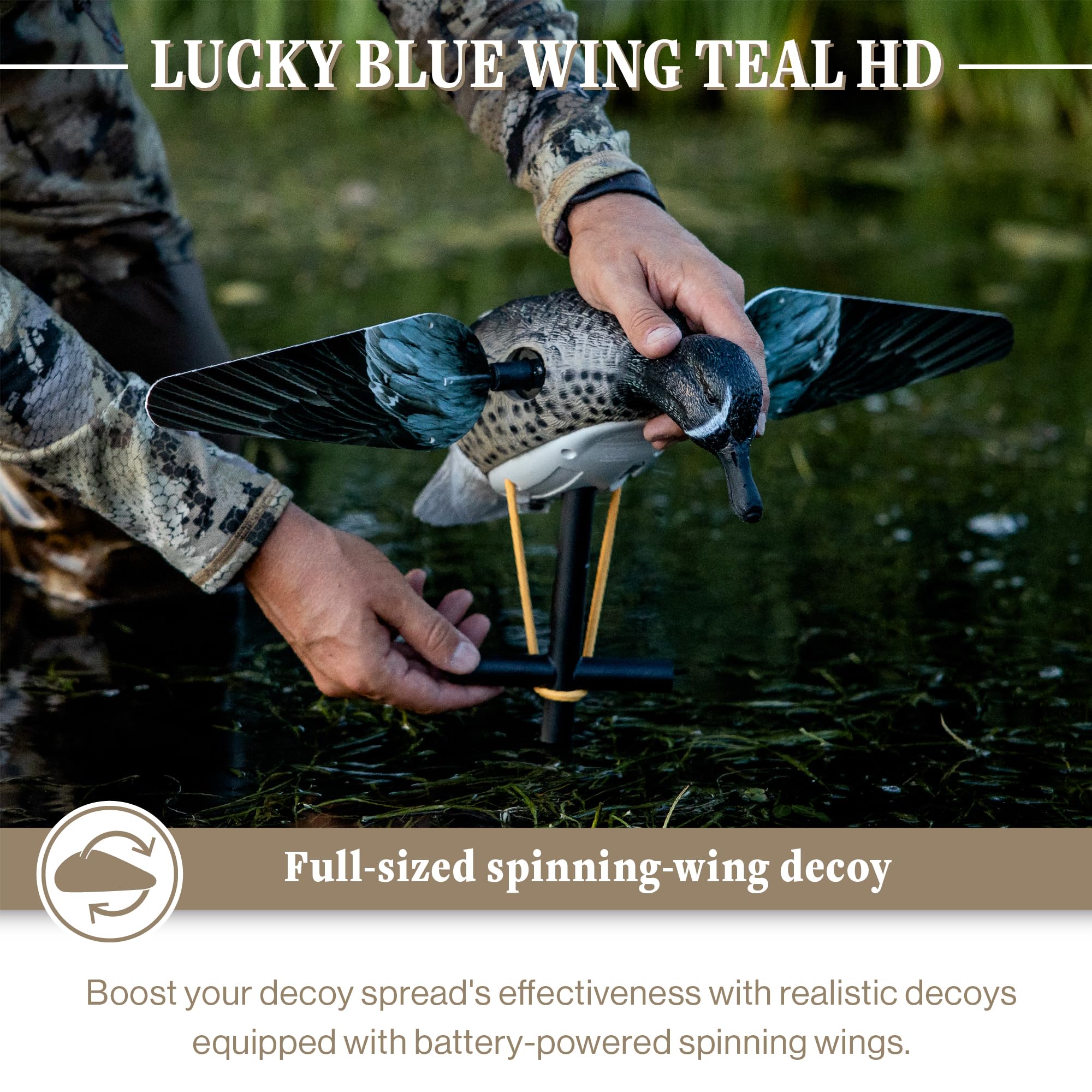 Lucky Duck spinning wing Drake Blue-Winged Teal decoy in distance demonstrates realism.