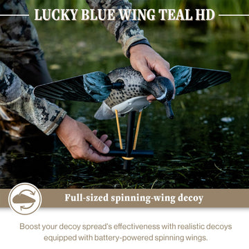 Lucky Duck spinning wing Drake Blue-Winged Teal decoy in distance demonstrates realism.