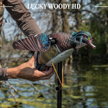 Lucky Duck 42-inch stakes and quick attach bungee for easy setup