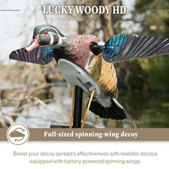 Lucky Duck ultra-realistic paint on Woody HD decoy enhances distant realism
