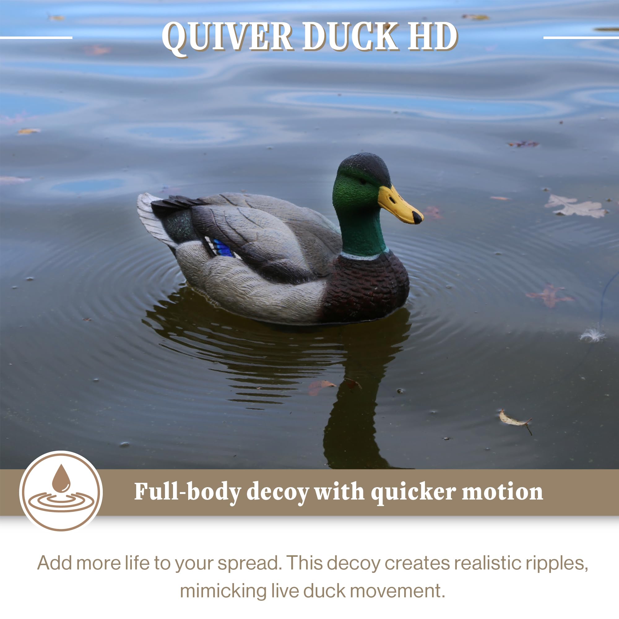 Lucky Duck closeup detail highlights authentic paint texture and mallard color