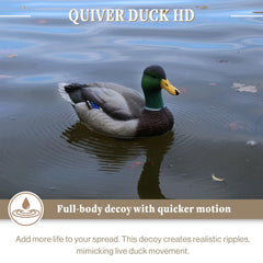 Lucky Duck closeup detail highlights authentic paint texture and mallard color