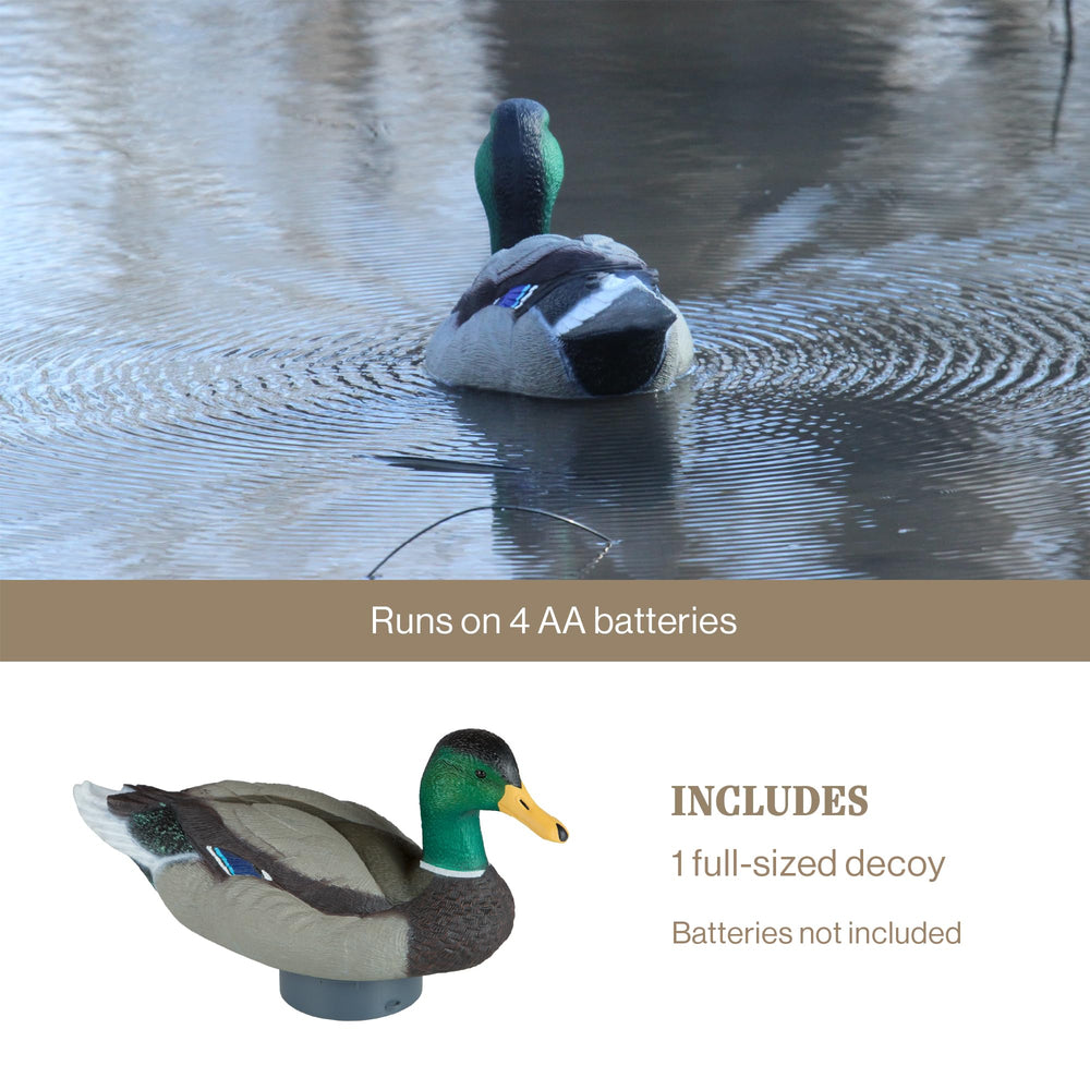 Lucky Duck field-shot decoy setup for quick deployment in the blind