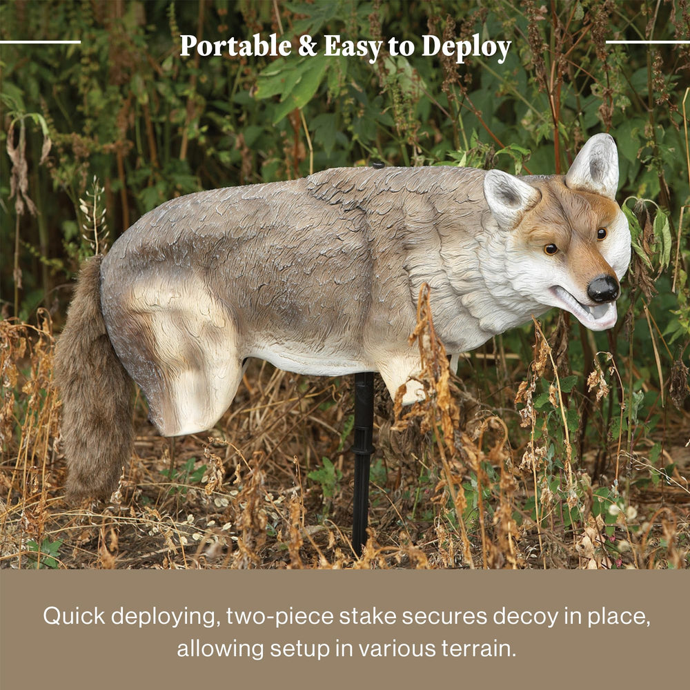 Lucky Duck Yote Coyote Decoy deters geese on golf courses.