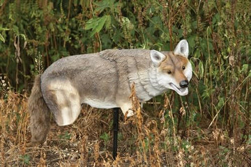 Lucky Duck Yote Coyote Decoy lightweight EVA for portable setup.