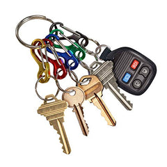 Lucky Line key-identifiers remote ring attachment demonstrates fast access.