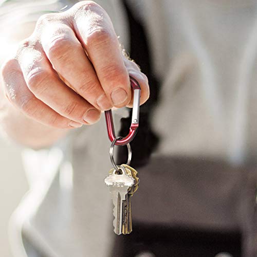 Lucky Line lightweight aluminum carabiner ideal for hiking, fishing, and travel.