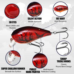Back view of LC 1.5SSR lure