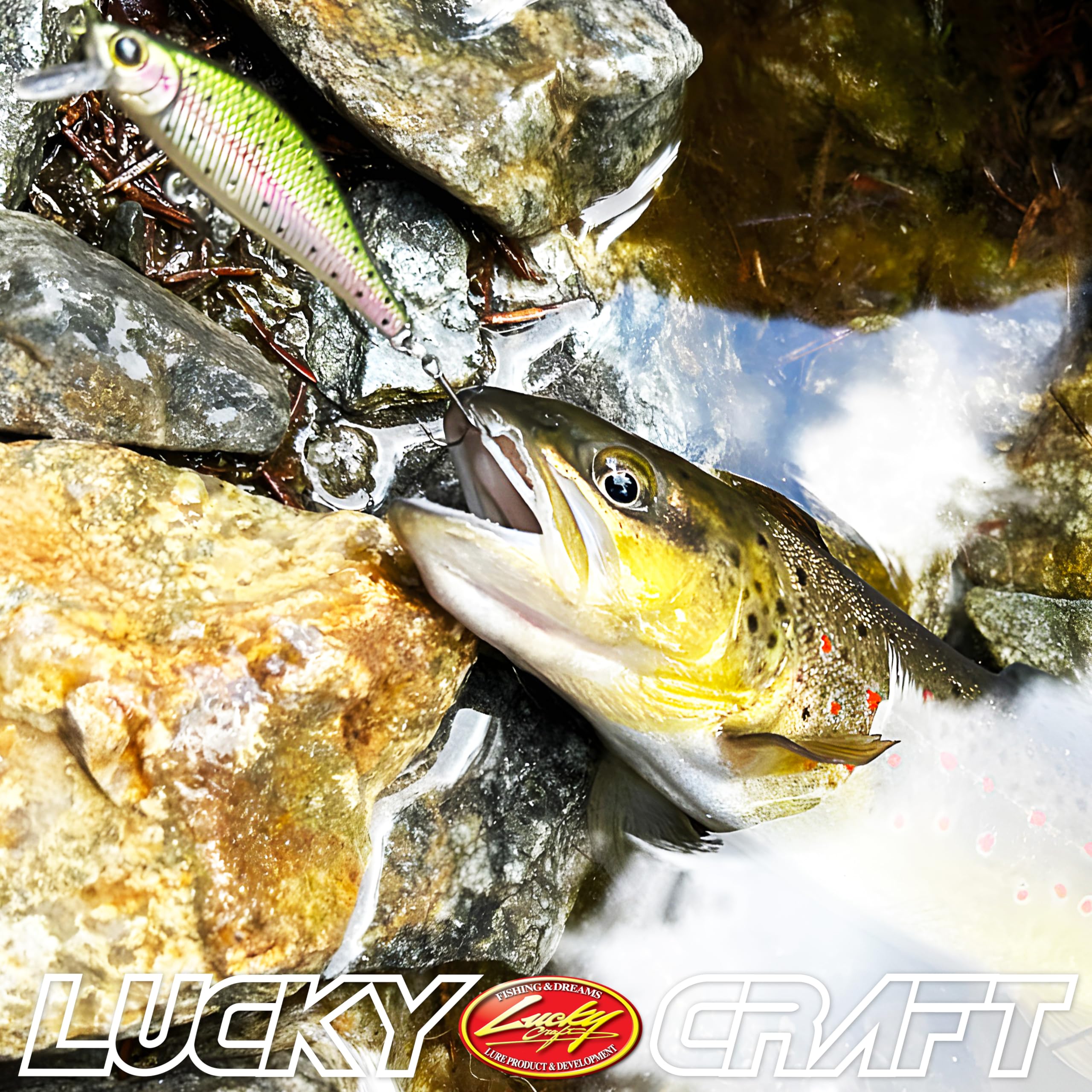 Full product view of LUCKY CRAFT Pointer 50S Sinking Yamame Silver