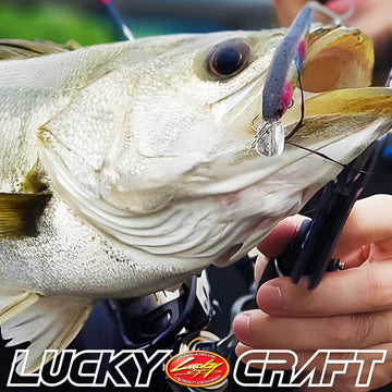 Lucky Craft L0265 Beefreeze 65S in-action shot showcasing dynamic tail movement.