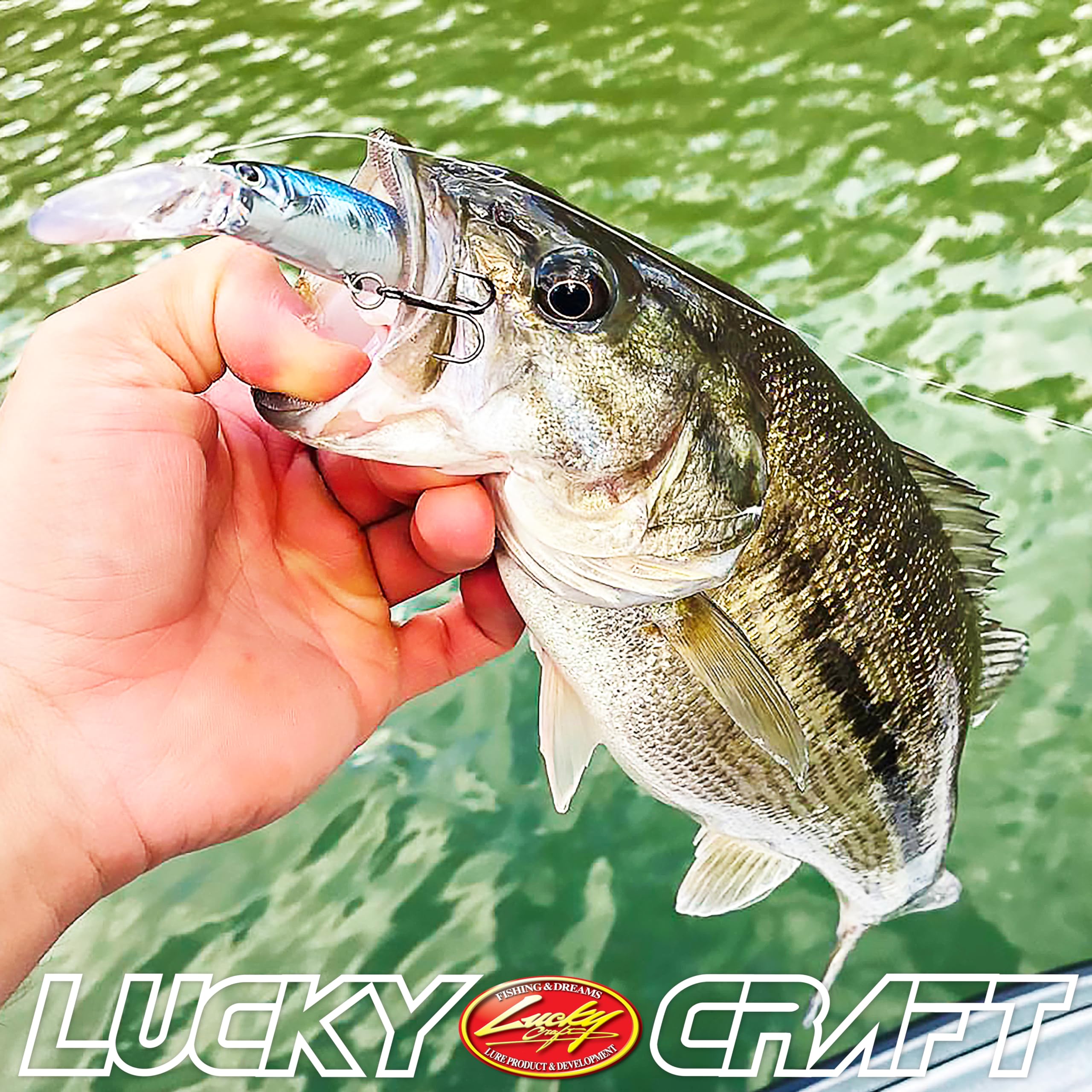 LUCKY CRAFT Staysee 90SP V2 freshwater lure for bass and trout tackle.