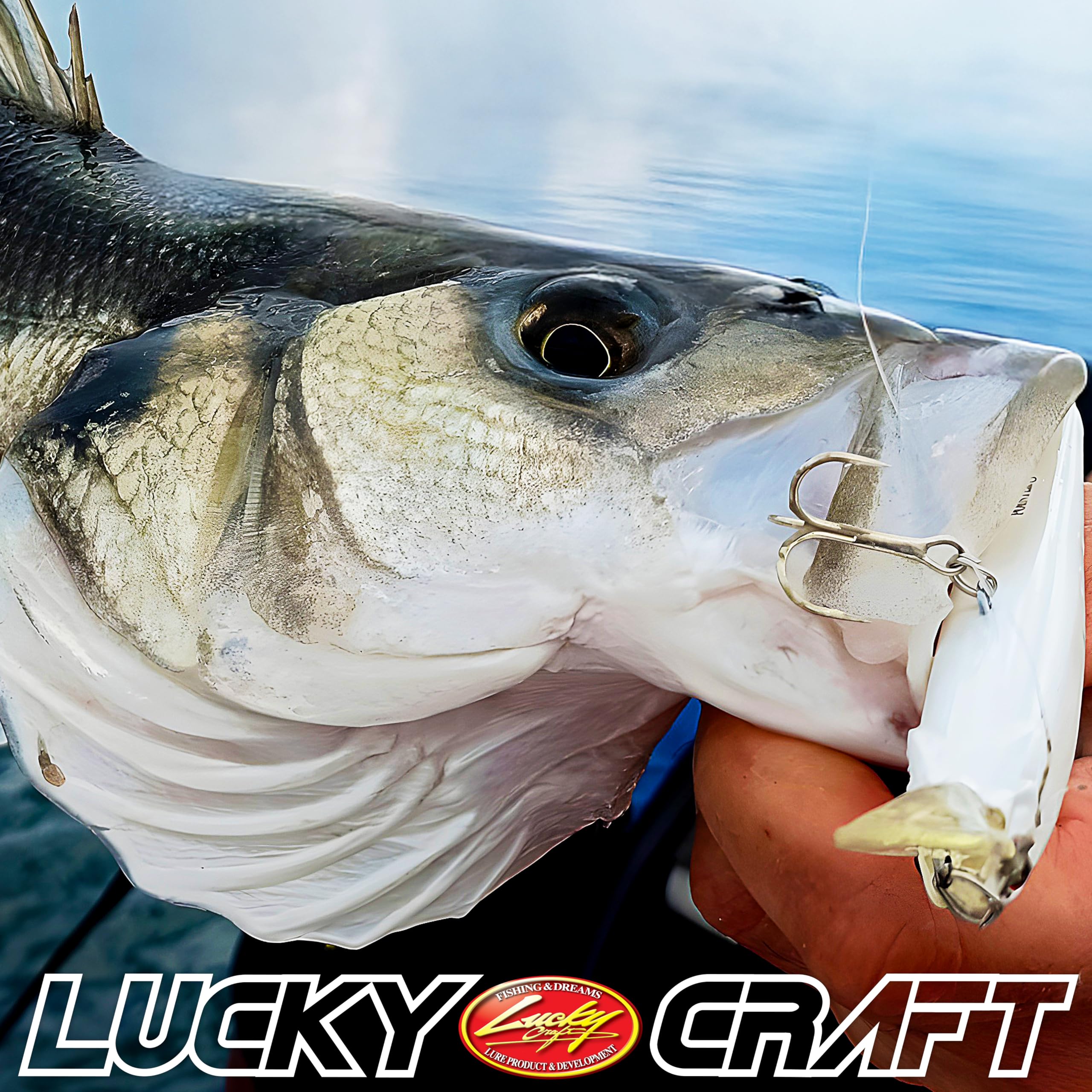 LUCKY CRAFT SW Pointer 100S in water demonstrates sharp silhouette and glow.