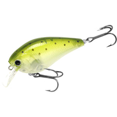 Lucky Craft LC 1.5 Silent Squarebill Crankbait - Zebra Ghost Green Sea Trout finish close-up