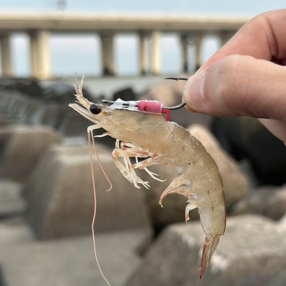 Versatile shrimp fishing hooks for large fish