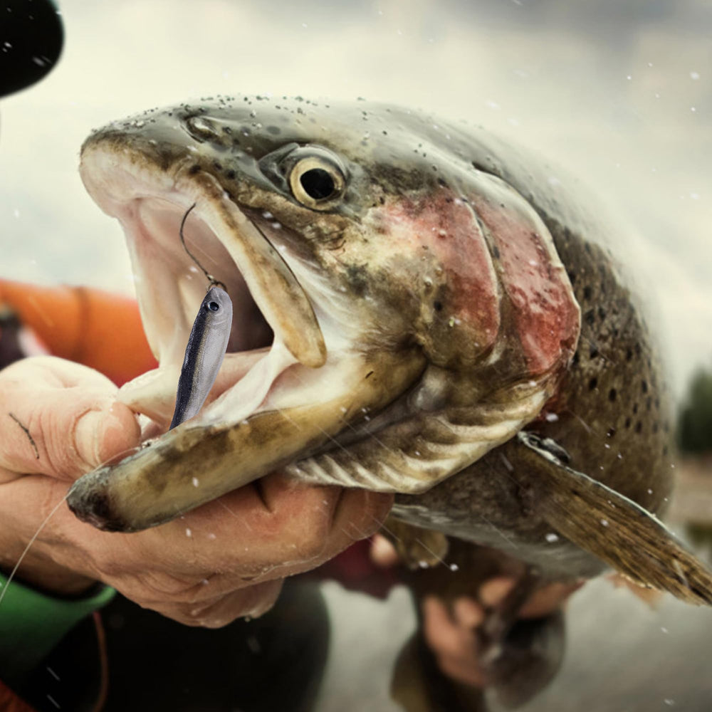 Lumista multi-species lure suits bass, pike, trout and more.
