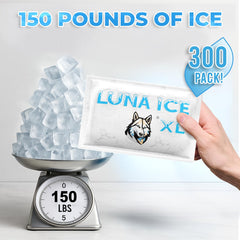 Luna Ice BPA-free reusable gel bricks for safe food transport