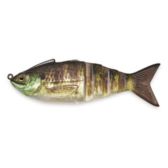 Lunkerhunt Gambit Gilly front view shows lifelike scales for versatile fishing.