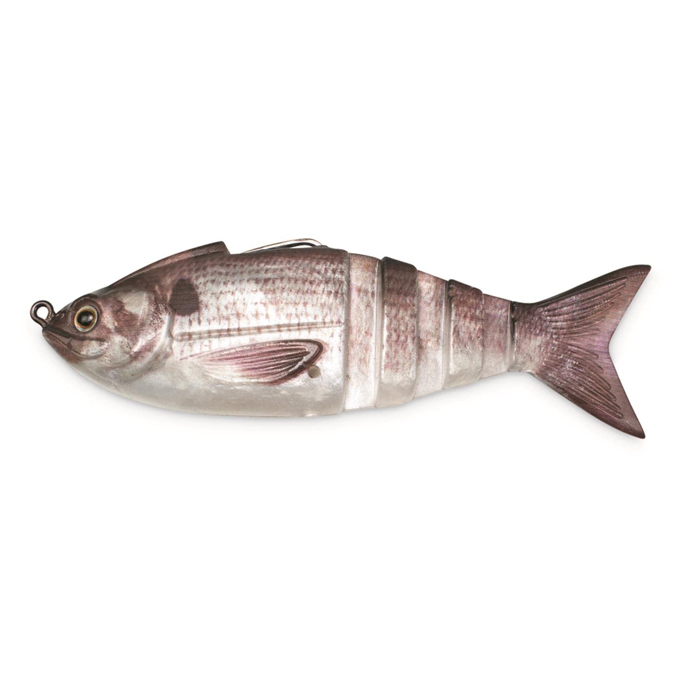 Lunkerhunt Gambit Swimbait Silverside close-up showing premium finish for lifelike realism