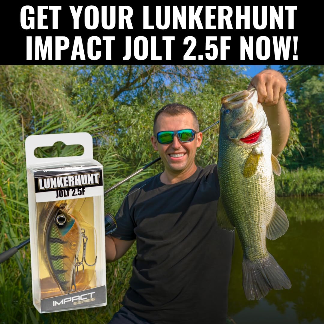 Lunkerhunt Impact Jolt beginner-friendly lure with realistic action and color.