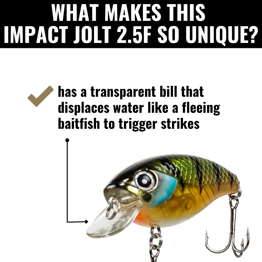 Lunkerhunt Impact Jolt tight wobble design performs well in shallow water.
