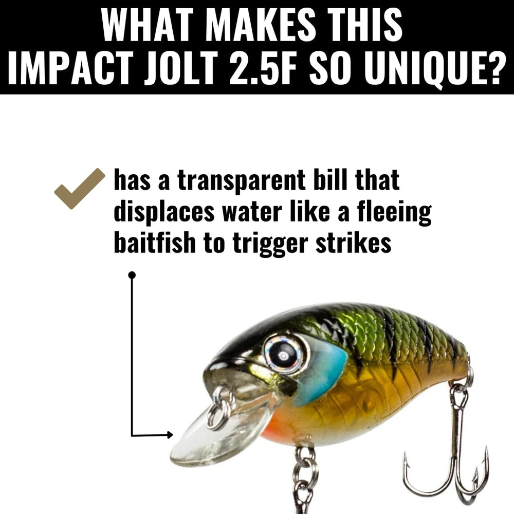 Lunkerhunt Impact Jolt tight wobble design performs well in shallow water.