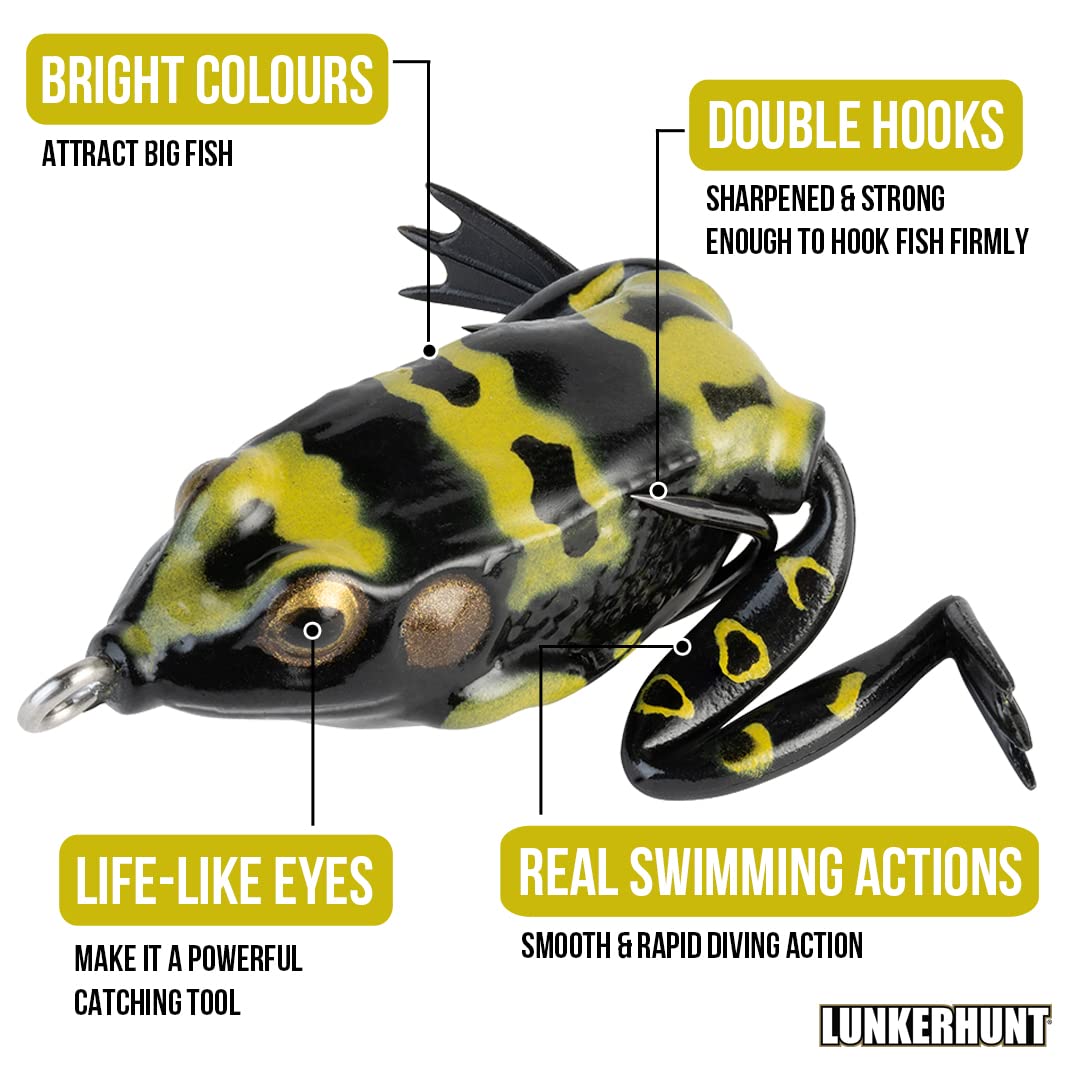 Poison color Pocket Frog visible in stained water for predators.