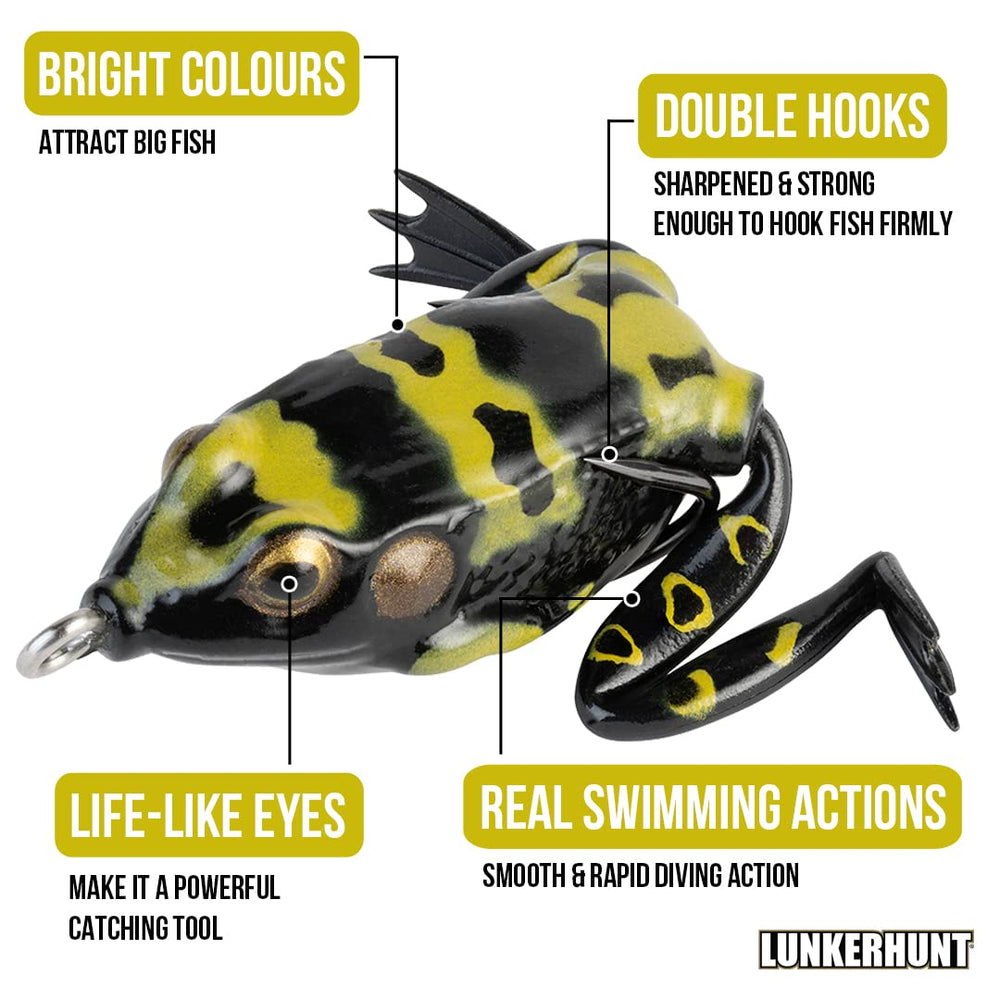 Poison color Pocket Frog visible in stained water for predators.