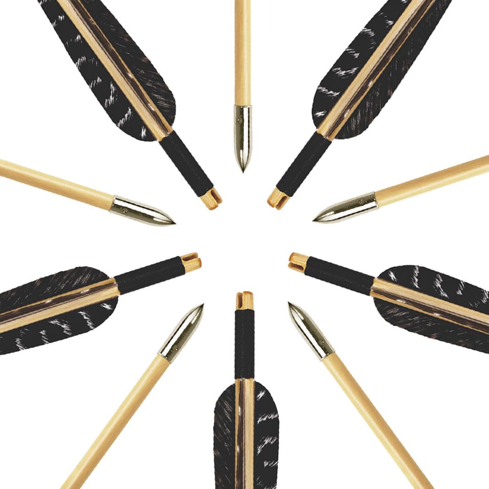 Luoyer arrows demonstrate compatibility with traditional bows for target practice