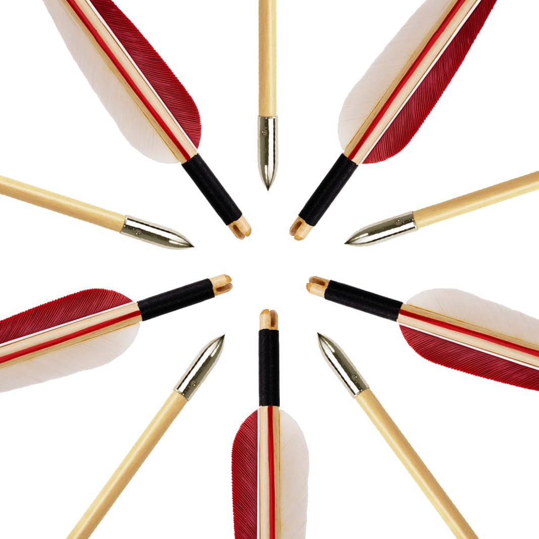 Luoyer packaging 12pc arrows keeps arrows organized for range days.