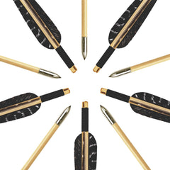 Luoyer arrows demonstrate compatibility with traditional bows for target practice