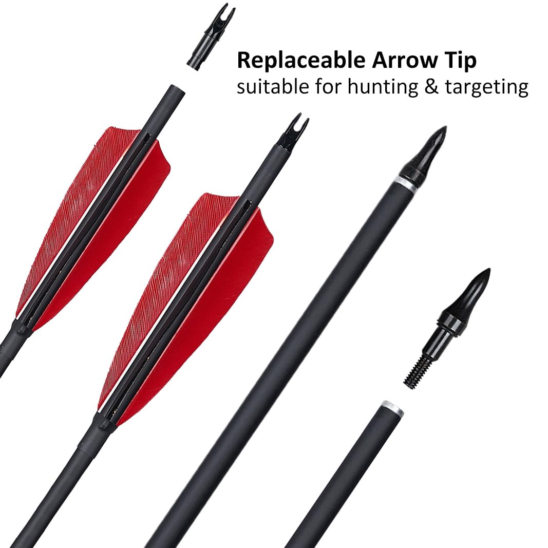 Luoyer arrows feature adjustable nocks for compatibility with multiple bow types.