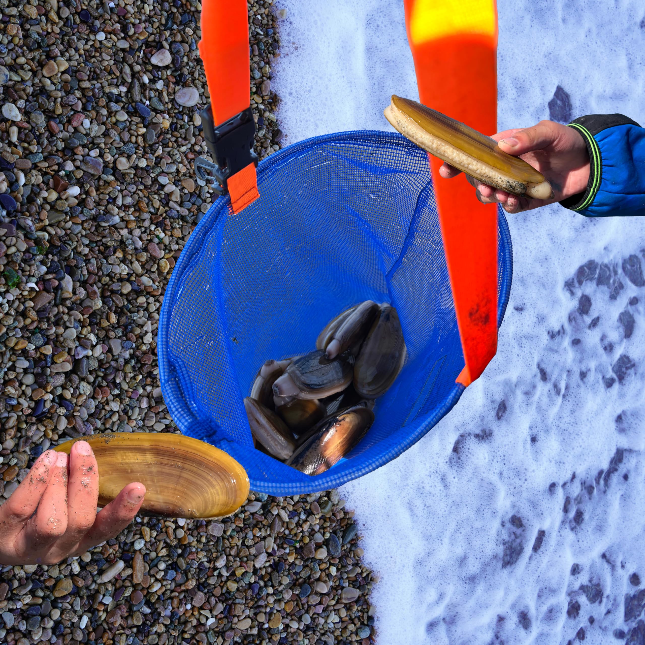 Clam bag in coastal environment for razor clams and surf fishing