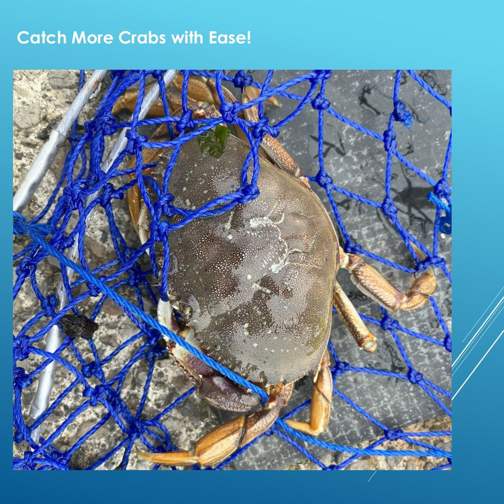 LUPUSH Crab Ring Trap grid bottom keeps crabs from escaping.