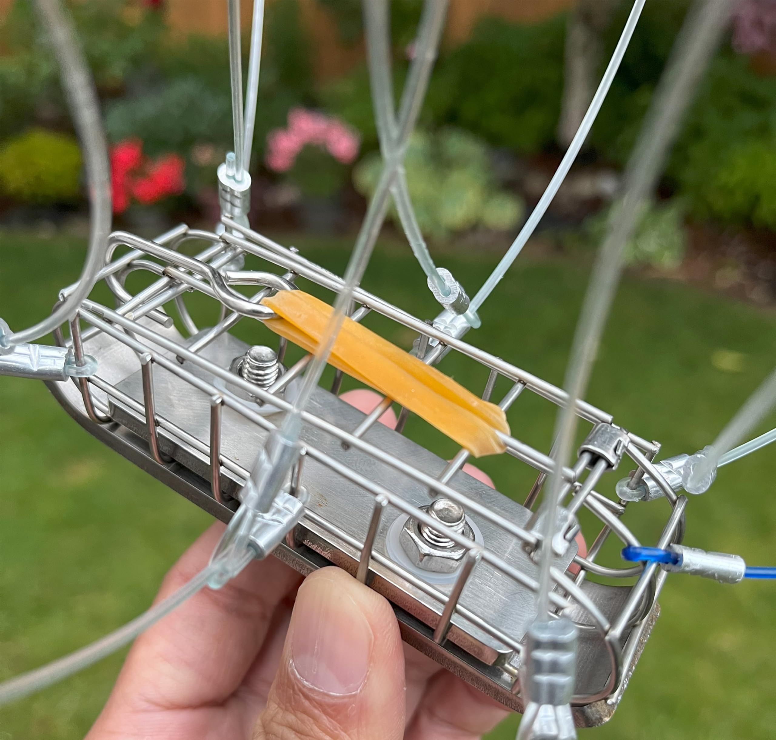 Dungeness crab-ready snare in saltwater setting