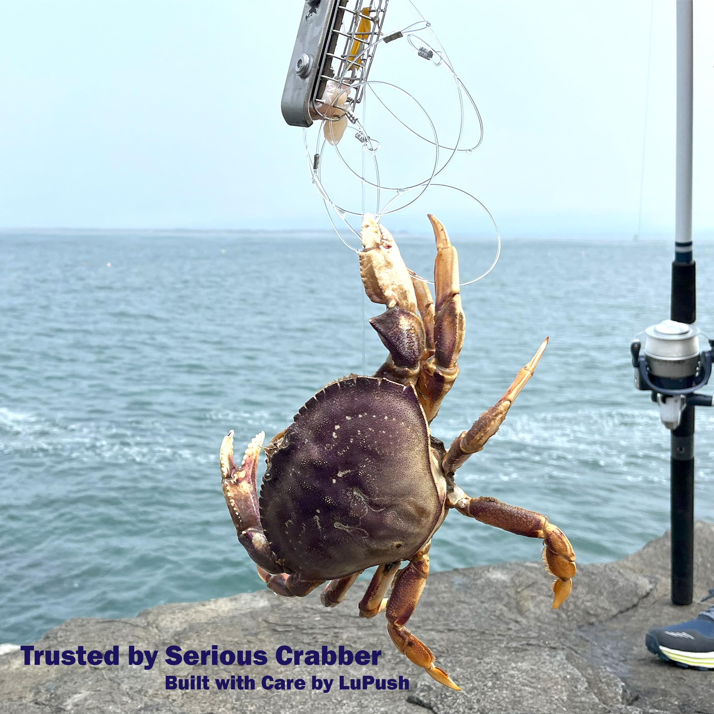 Pier/jetty crabbing setup using LUPUSH snare