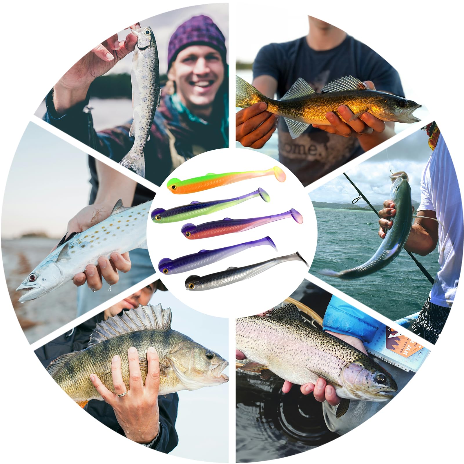 LURESMEOW versatile swimbaits for both saltwater and freshwater fishing