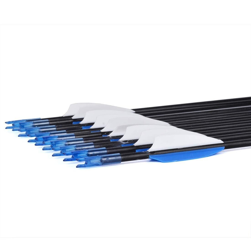 LWANO 12-pack arrows packaged for affordable target practice with family and beginners.