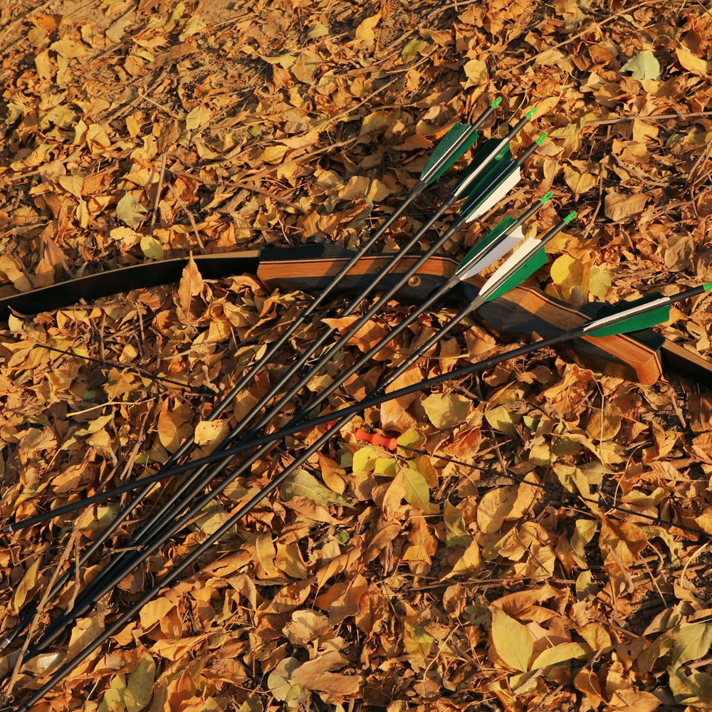 LWANO 12-pack provides durable, accurate practice for daily archery sessions.
