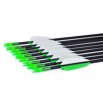 LWANO 12-pack fiberglass arrows ideal for family-friendly practice sessions