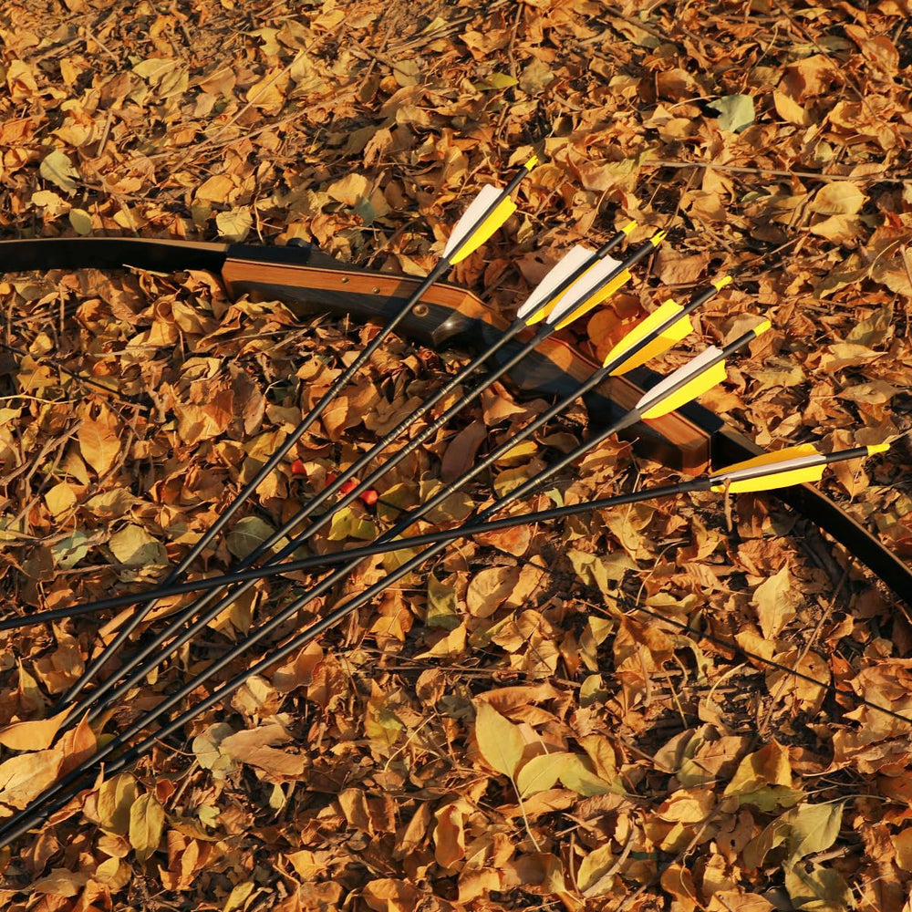 LWANO 12-pack carbon arrows contents ready for immediate target range sessions.