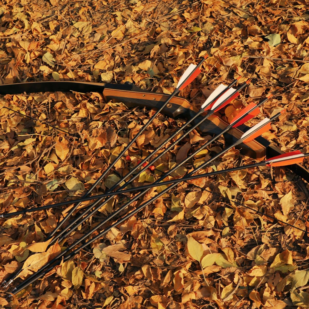 LWANO pack of 12 carbon arrows ready for reliable practice and hunting preparation.