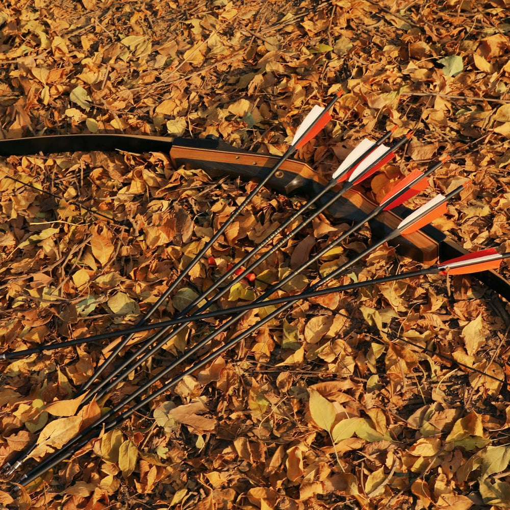 LWANO pack of 12 carbon arrows ready for reliable practice and hunting preparation.